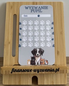 Wyzwanie pupil