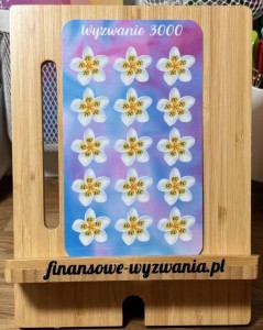 Wyzwanie 3000